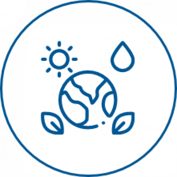 Eine Zeichnung der Erde mit einer Sonne und Blättern in einem blauen Kreis